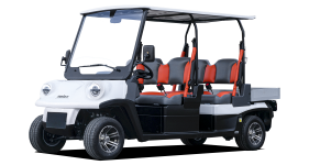 Modell N.20 P4 long 4-Sitzer Ladefläche - 33 km/h - Bild 